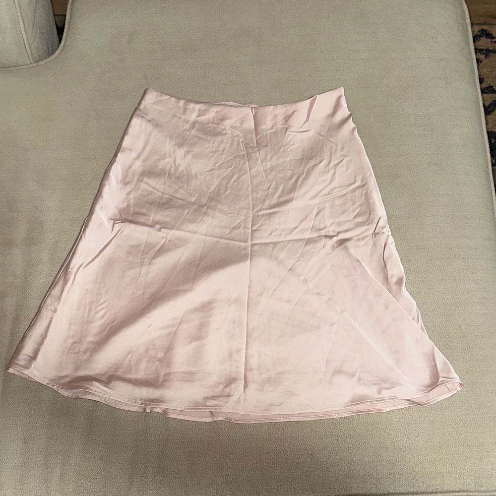 Express Light Pink A-Line Skirt